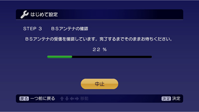 BSAei̊mF
