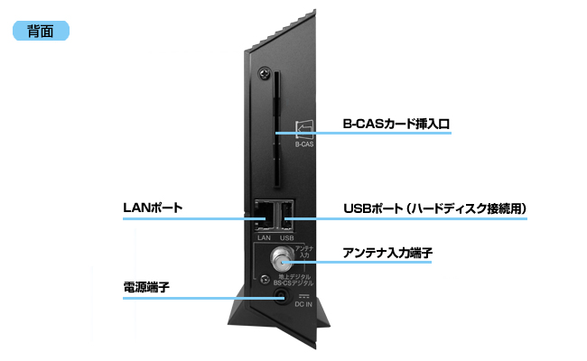背面写真