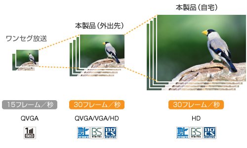 ZO掿 C[W